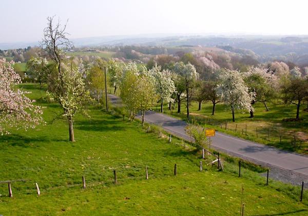 umgebung
